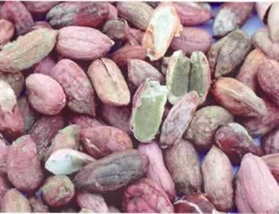 Aflatoxin infected peanuts - www.drthrasher.org
