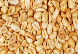 Edible peanuts - MORRISON1977/ISTOCKPHOTO