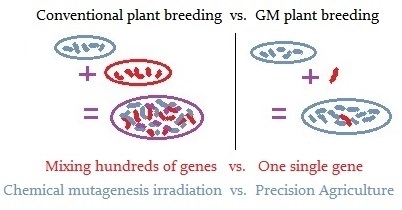 plant-breeding